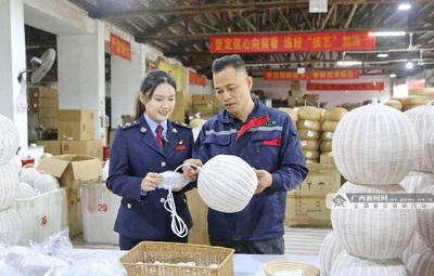 博白稅務 以“稅惠+服務”雙引擎，賦能企業揚帆向海圖強